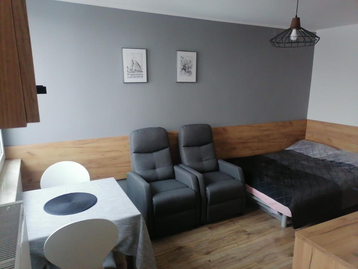 Studio Park Saski 1 & 2 Сандомир Экстерьер фото