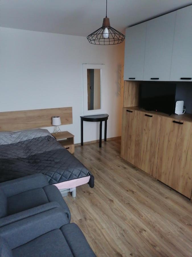 Studio Park Saski 1 & 2 Сандомир Экстерьер фото