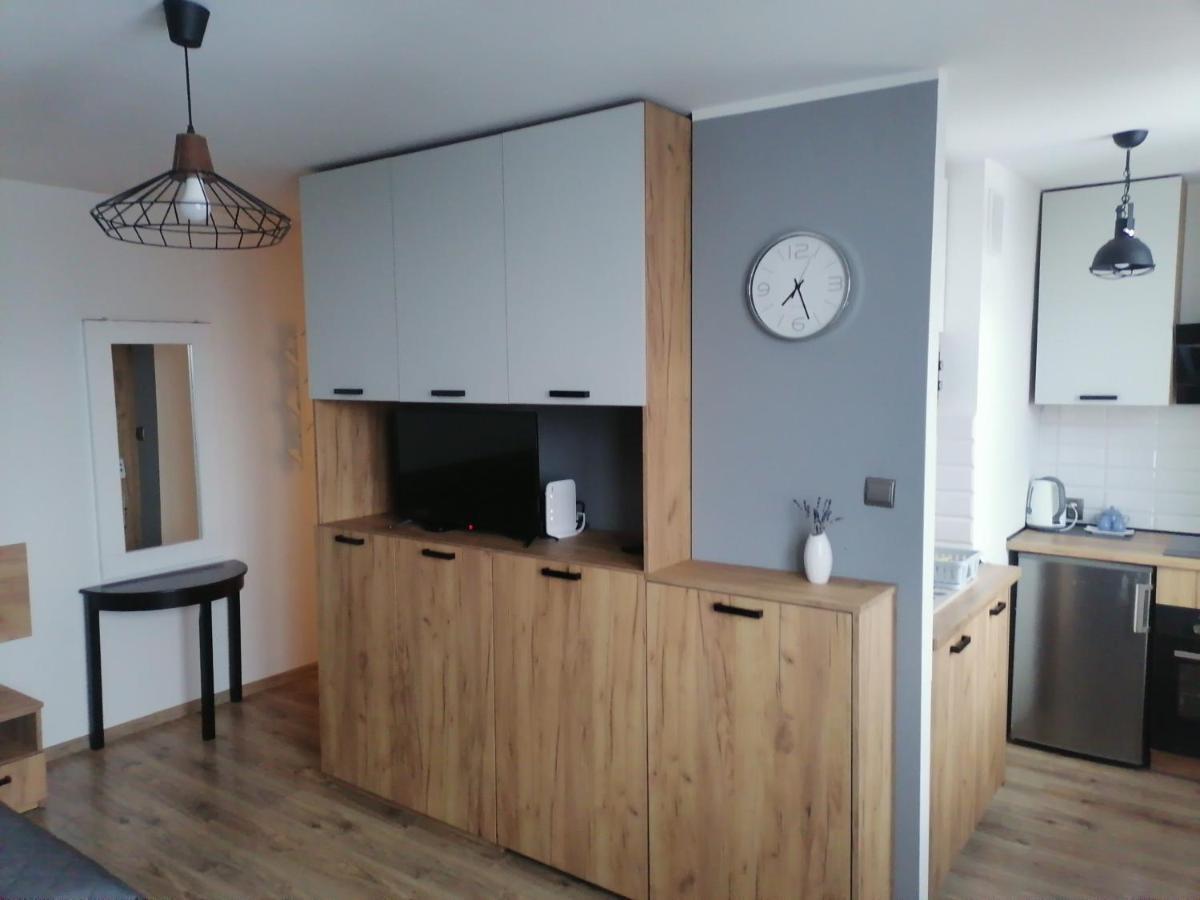 Studio Park Saski 1 & 2 Сандомир Экстерьер фото