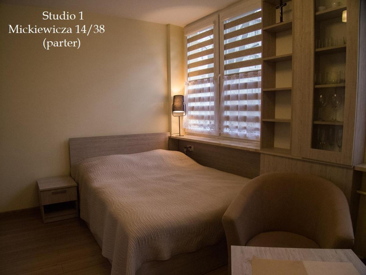Studio Park Saski 1 & 2 Сандомир Экстерьер фото
